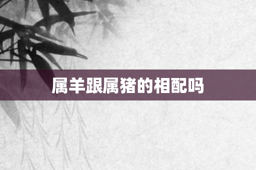 属羊跟属猪的相配吗