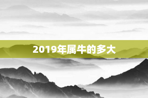 2019年属牛的多大
