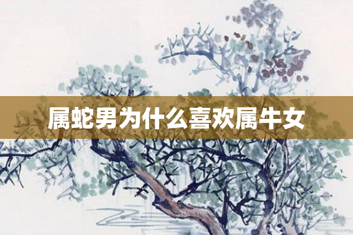 属蛇男为什么喜欢属牛女