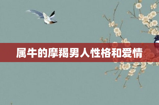 属牛的摩羯男人性格和爱情