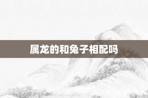 属龙的和兔子相配吗