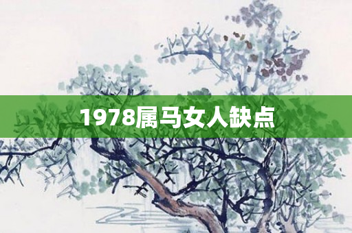1978属马女人缺点