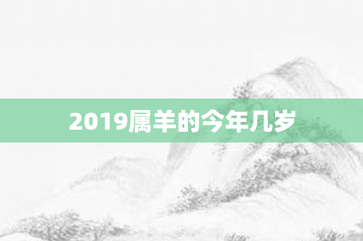 2019属羊的今年几岁