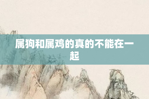 属狗和属鸡的真的不能在一起