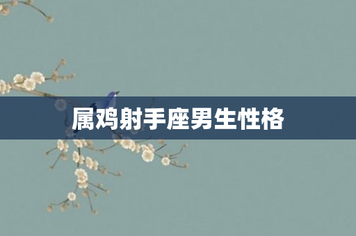 属鸡射手座男生性格