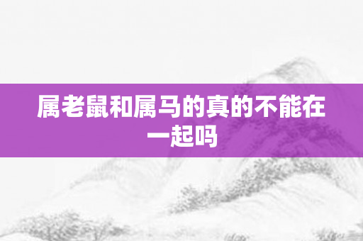 属老鼠和属马的真的不能在一起吗