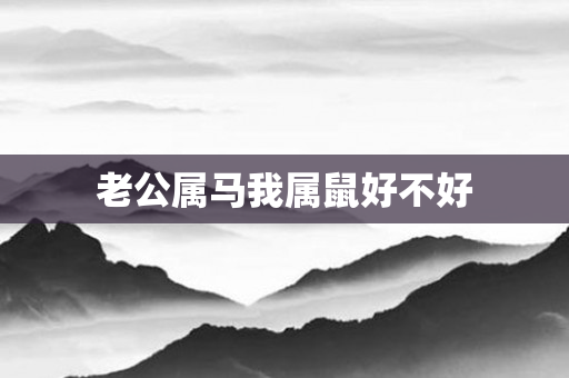 老公属马我属鼠好不好