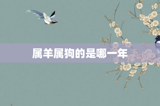 属羊属狗的是哪一年