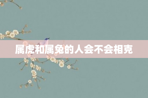 属虎和属兔的人会不会相克
