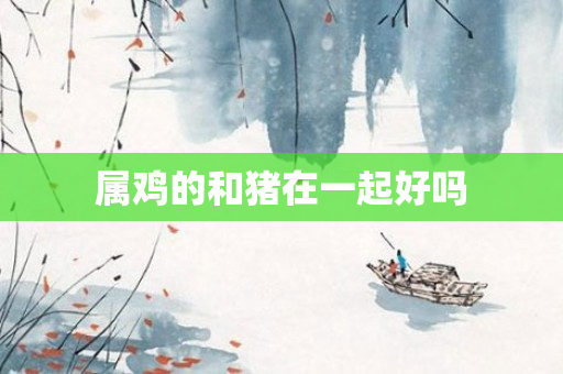 属鸡的和猪在一起好吗