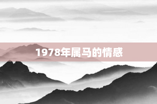 1978年属马的情感