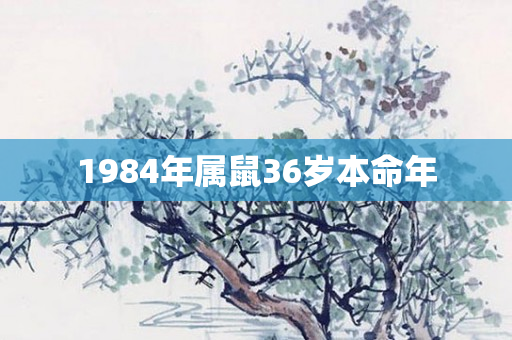 1984年属鼠36岁本命年