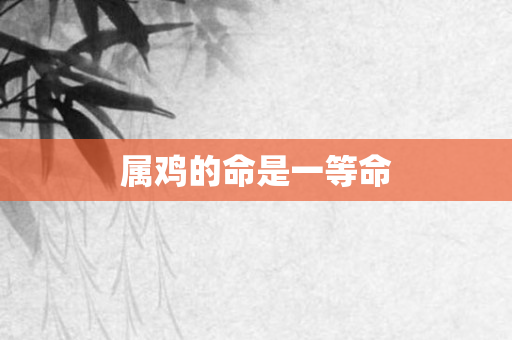 属鸡的命是一等命