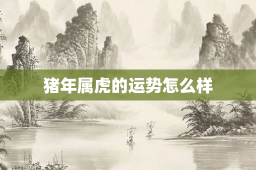 猪年属虎的运势怎么样