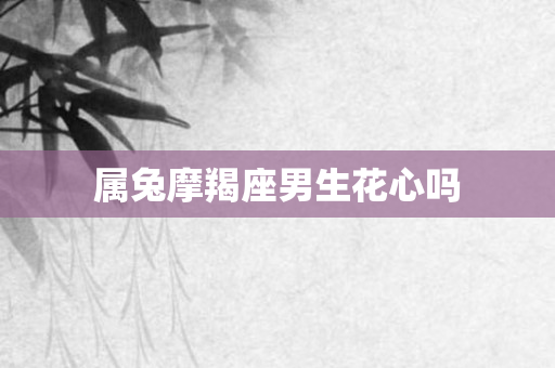 属兔摩羯座男生花心吗