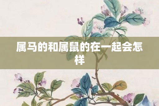 属马的和属鼠的在一起会怎样