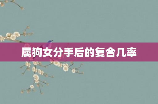属狗女分手后的复合几率