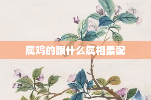 属鸡的跟什么属相最配