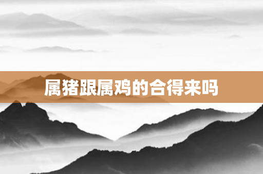 属猪跟属鸡的合得来吗
