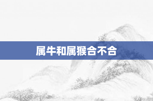 属牛和属猴合不合