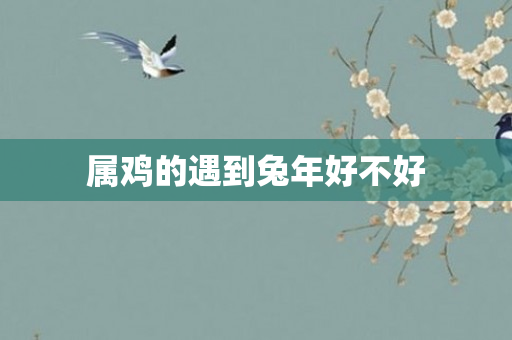 属鸡的遇到兔年好不好
