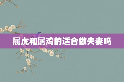 属虎和属鸡的适合做夫妻吗