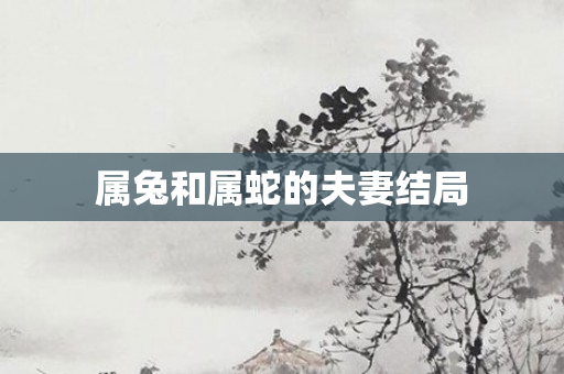 属兔和属蛇的夫妻结局