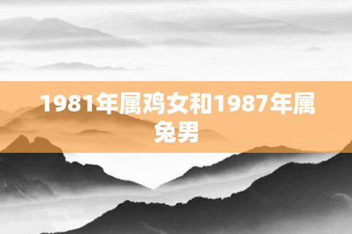 1981年属鸡女和1987年属兔男