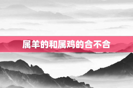 属羊的和属鸡的合不合