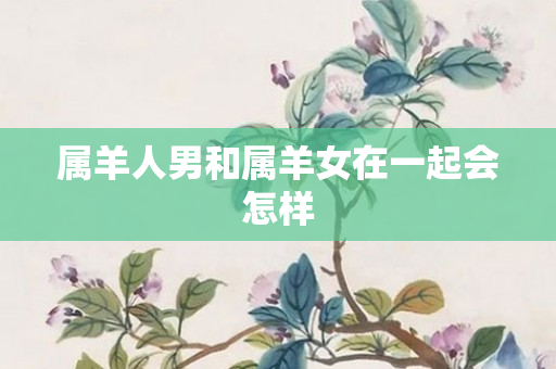 属羊人男和属羊女在一起会怎样