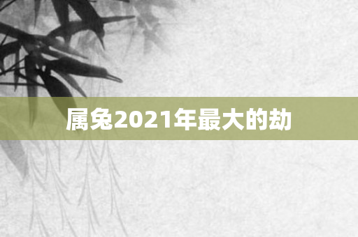 属兔2021年更大的劫