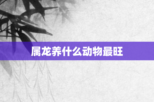 属龙养什么动物最旺