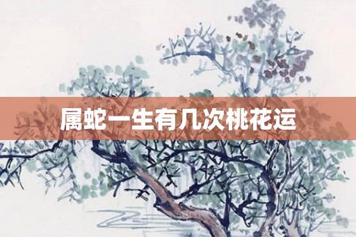 属蛇一生有几次桃花运