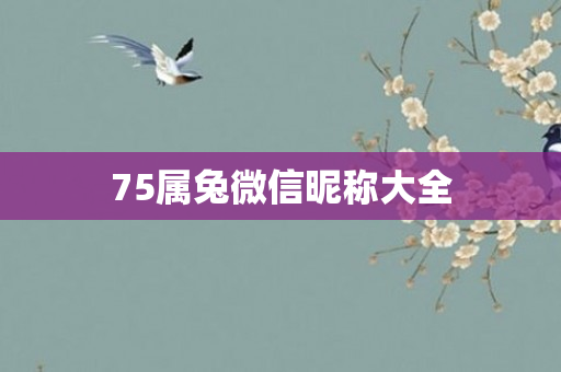 75属兔微信昵称大全