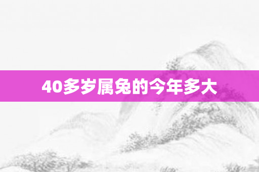 40多岁属兔的今年多大