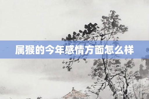 属猴的今年感情方面怎么样