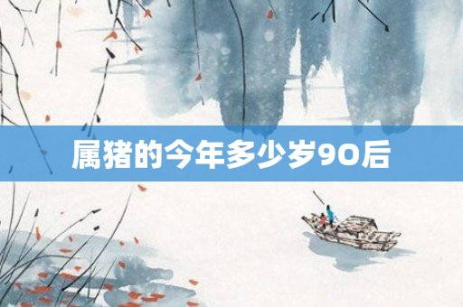 属猪的今年多少岁9O后