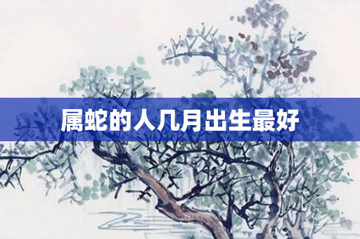 属蛇的人几月出生更好