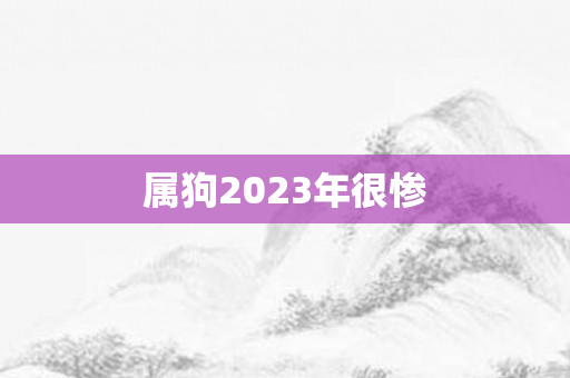 属狗2023年很惨