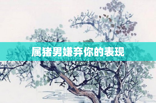 属猪男嫌弃你的表现