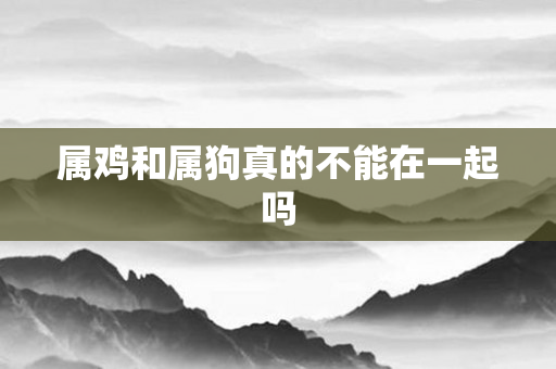 属鸡和属狗真的不能在一起吗