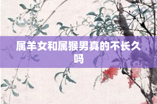 属羊女和属猴男真的不长久吗