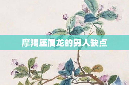 摩羯座属龙的男人缺点