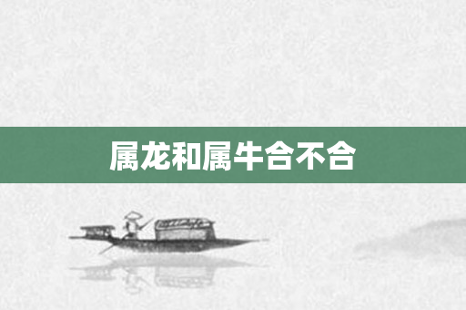 属龙和属牛合不合