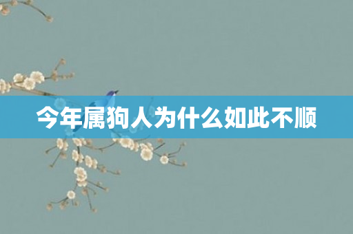 今年属狗人为什么如此不顺