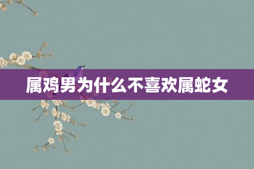 属鸡男为什么不喜欢属蛇女