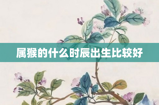 属猴的什么时辰出生比较好