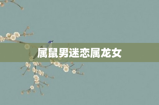 属鼠男迷恋属龙女