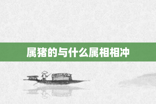 属猪的与什么属相相冲