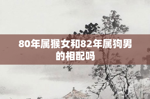 80年属猴女和82年属狗男的相配吗